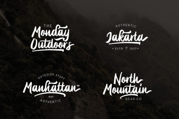 Briberra Script Font - Preview 4