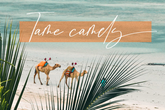 Brunei Darussalam Font PNG with transparent background - Preview 3
