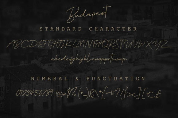 Budapest Family Font - Preview 1