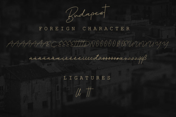 Budapest Family Font - Preview 2