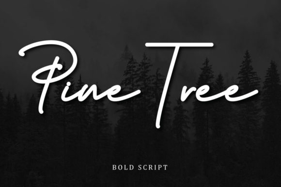 Budapest Family Font - Preview 6