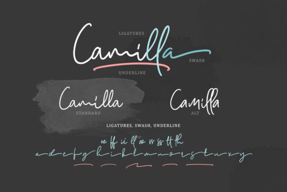 Camilla Family Font - Preview 1
