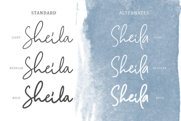 Camilla Family Font - Preview 2