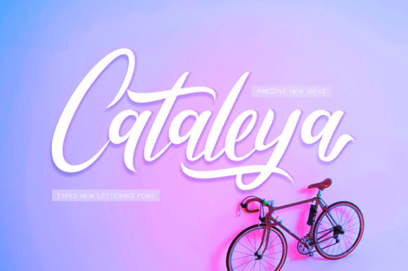 Cataleya Script & Handwritten Font By Musafir LAB