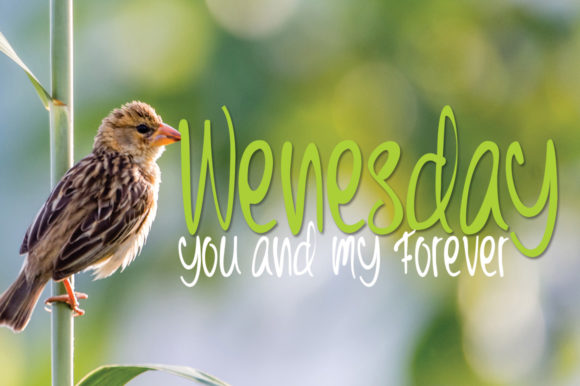 Children Day's Font PNG with transparent background - Preview 2