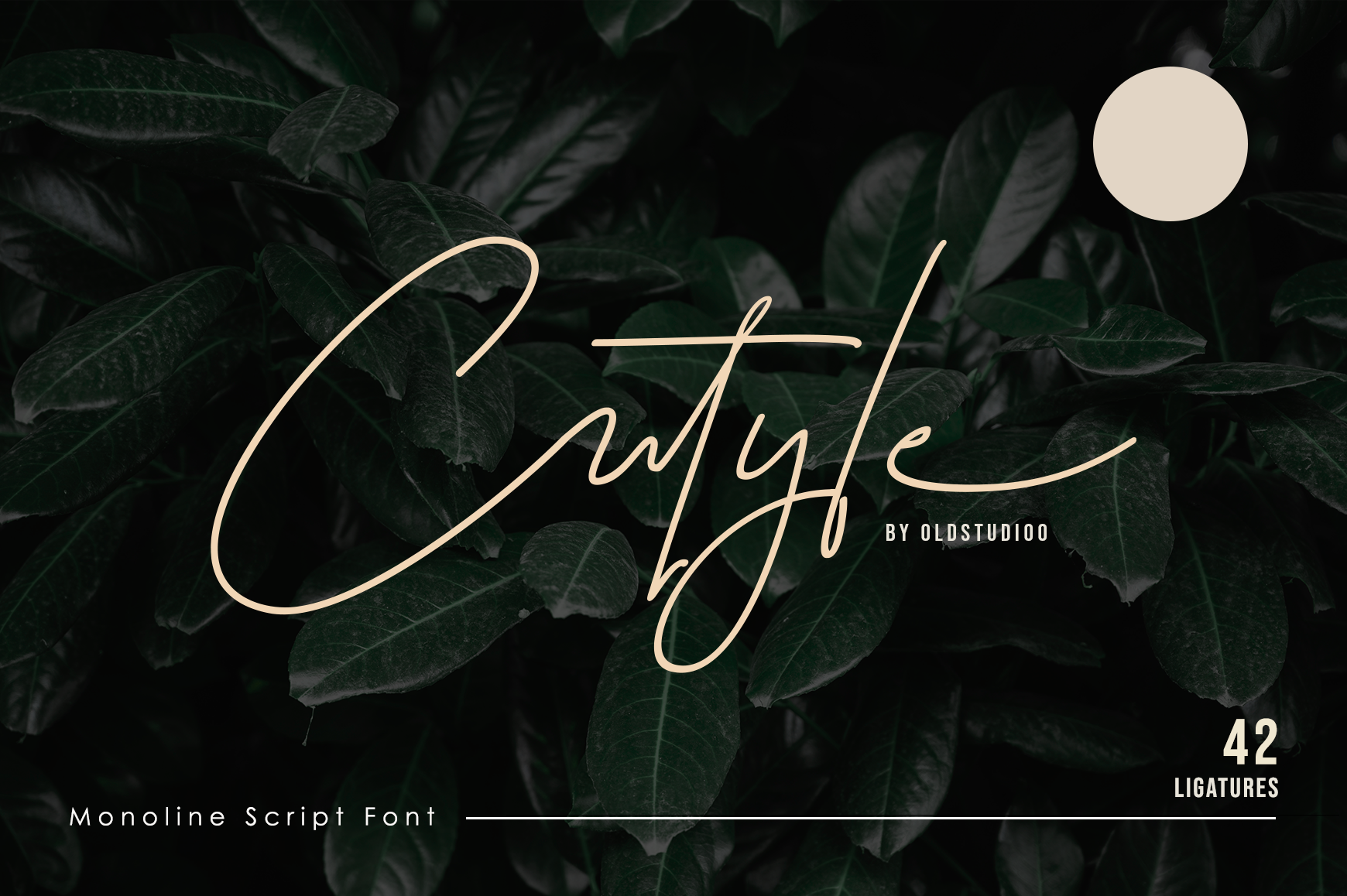 13 Best Fonts for Vinyl Cricut Projects: Weeding-Friendly Picks for Decals, Labels and Mugs in 2026
