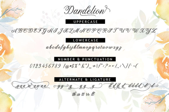 Dandelion Script Font - Preview 4