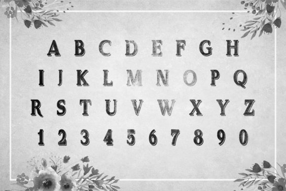 Delayne Font - Preview 4