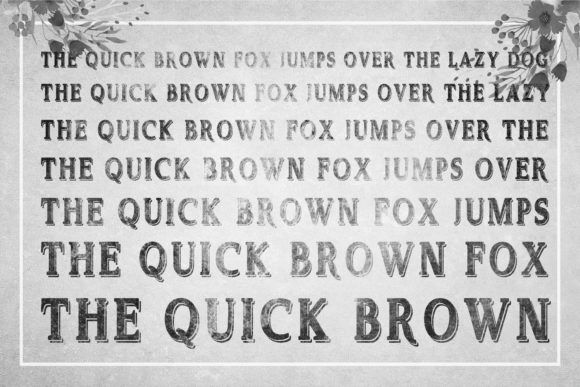 Delayne Font - Preview 6