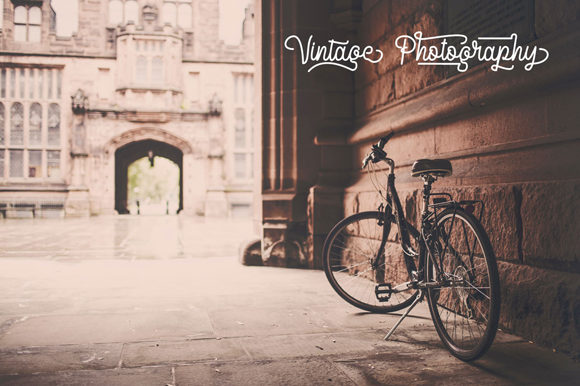 Delponta Script Font PNG with transparent background - Preview 6