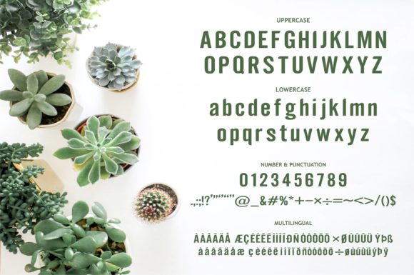 Estherilla Font - Preview 1