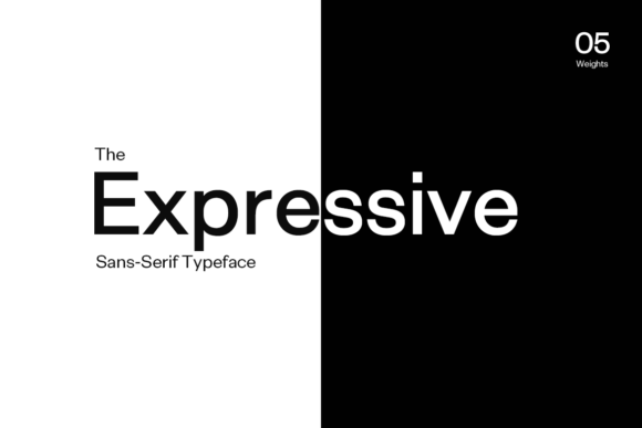 Exensa Grotesk Family Font font preview - 1