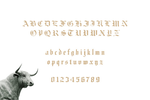 Fullerton Font - Preview 3