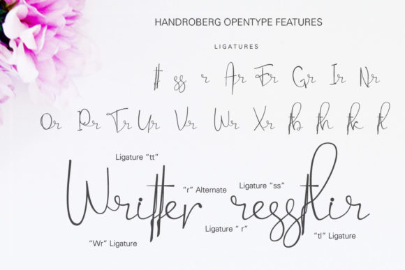 Handroberg Font - Preview 5