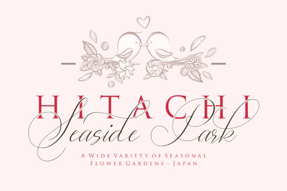 Lady Suettaya Font PNG with transparent background - Preview 1