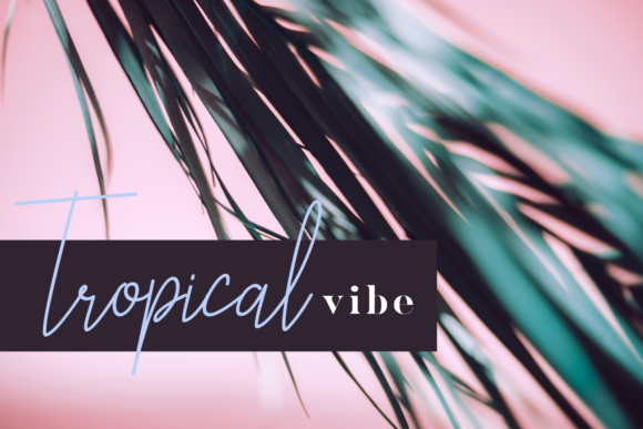 Liberika Font PNG with transparent background - Preview 1