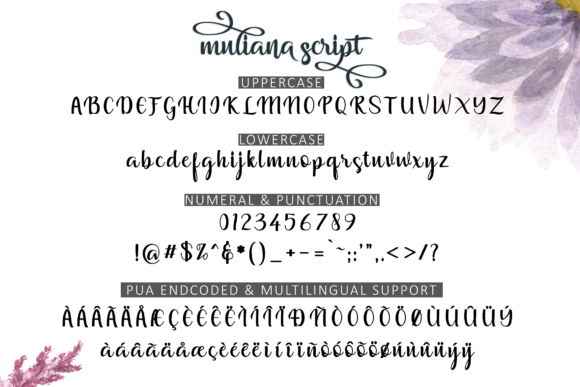 Muliana Script Font PNG with transparent background - Preview 1