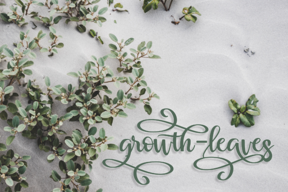 Muliana Script Font PNG with transparent background - Preview 3