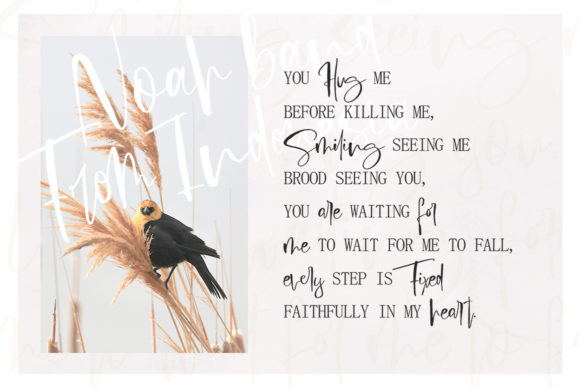 Pierogies Script Font font preview - 5