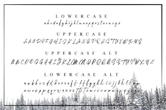 Robusta Duo Font PNG with transparent background - Preview 5