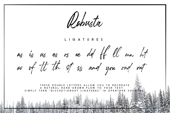 Robusta Duo Font PNG with transparent background - Preview 6