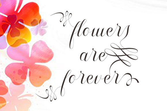 Shanghai Font PNG with transparent background - Preview 4