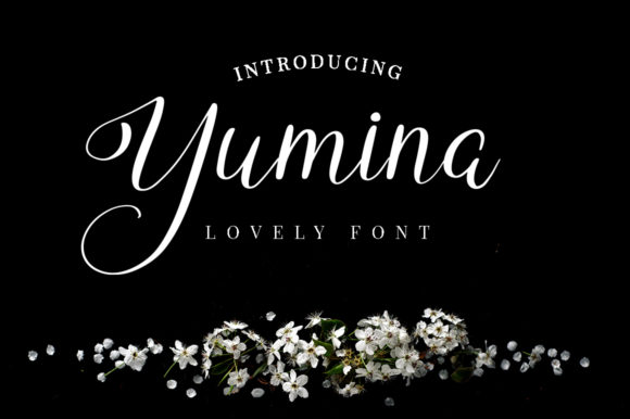 Yumina Script & Handwritten Font By attypestudio