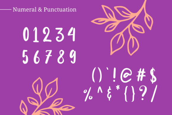 Alenka Font - Preview 3