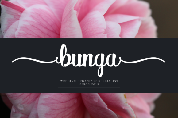 Alitta Font - Preview 2