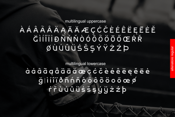 Allenatore Family Font - Preview 2