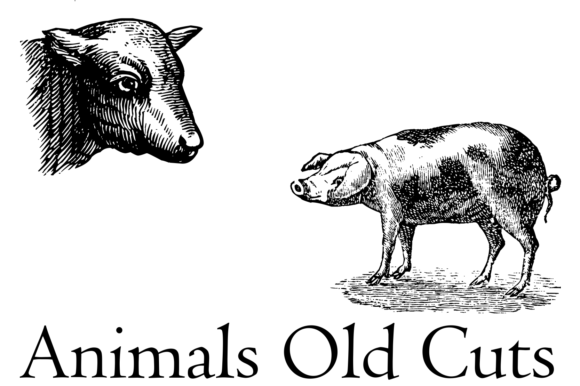 Animals Old Cuts Font - Preview 1
