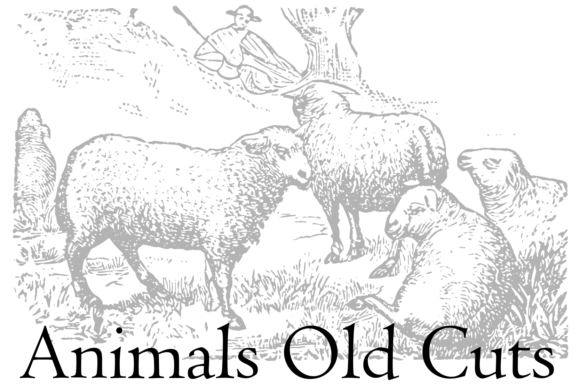 Animals Old Cuts Font - Preview 3