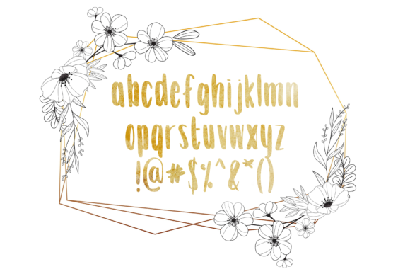 Anna Kay Font - Preview 2