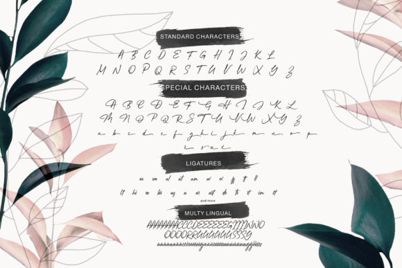 Augustinne Font - Preview 4
