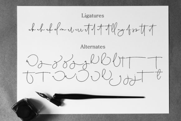 Australia Script Font - Preview 6