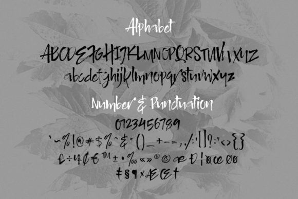 Authority Font - Preview 2