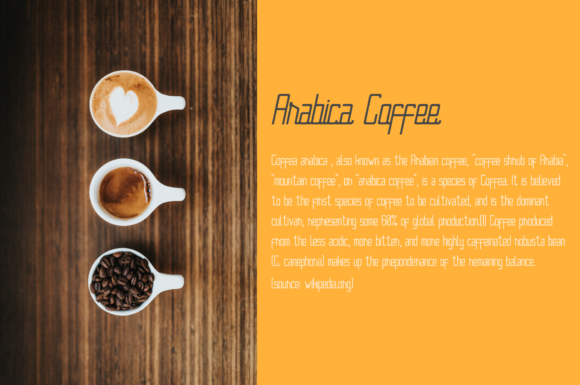 Braceline Duo Font - Preview 5