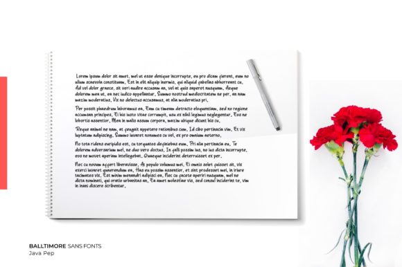 Balltimore Font - Preview 6