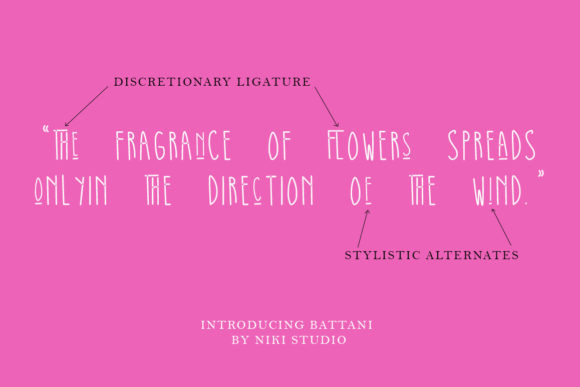 Battani Font - Preview 5