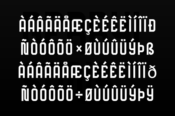 Berryl Sans Family Font - Preview 3