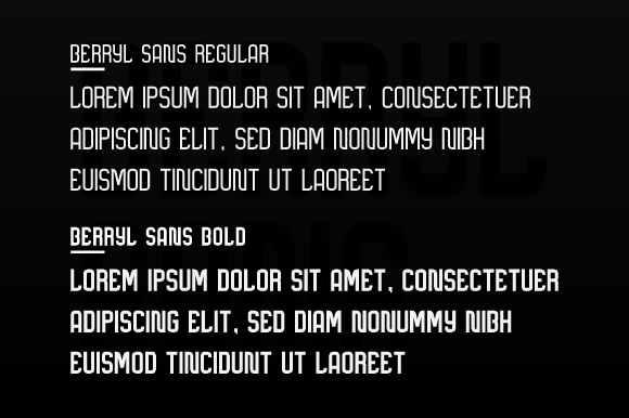 Berryl Sans Family Font - Preview 4