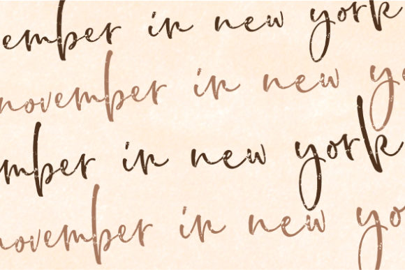 BondiSans Font - Preview 5