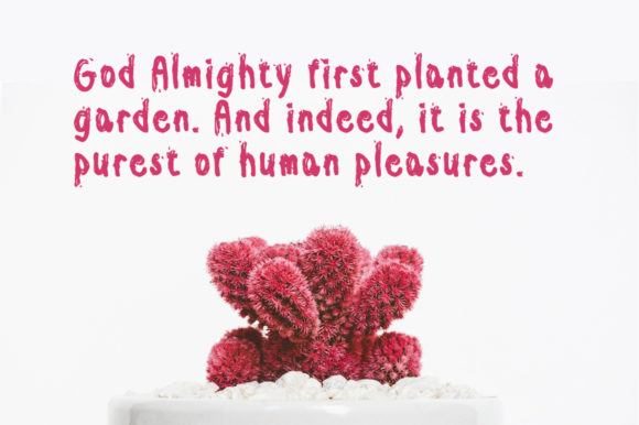 Bordure Font - Preview 1