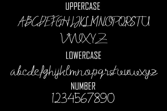 Bravani Font - Preview 4