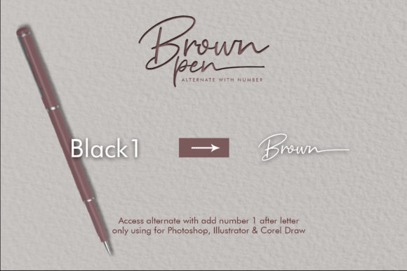 Brown Pen Script Font - Preview 4