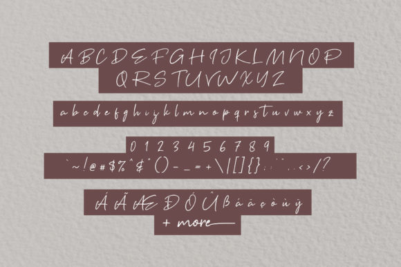 Brown Pen Script Font - Preview 5