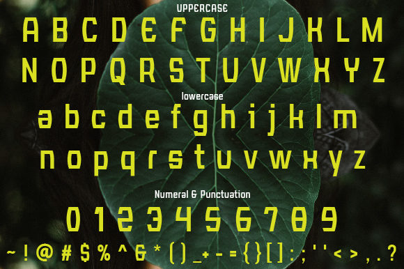 Calista Font - Preview 1