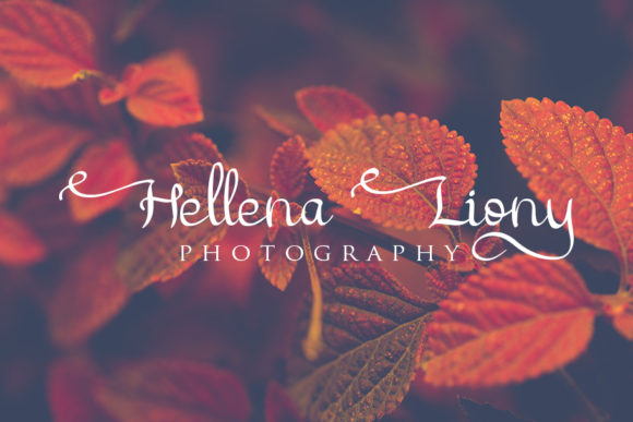 Cattelyna Font PNG with transparent background - Preview 6
