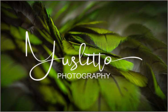Celosia Font - Preview 3