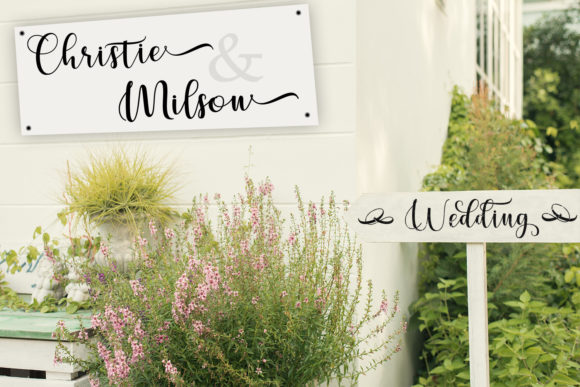 Cerilleta Script Font - Preview 6